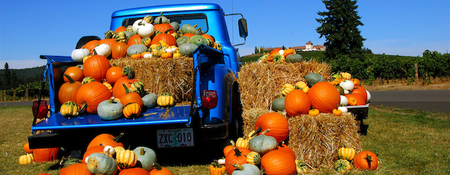 Pumpkin Beers